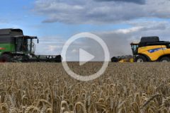 New Holland CR Fendt zniwa 2023 film 240x160 Skandynawskie deszczownie FASTERHOLT w ofercie APH Group Polska