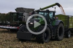 Claas Lexion 770 Fendt 1050 kukurydza 2023 film 240x160 Żniwa 2022 w GR Mojzesowicz   w polu Claas Lexion 780TT, 560 i Fendt Team   VIDEO