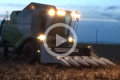 Claas Tucano Emmarol kukurydza 2023 film 240x160 Claas Tucano 440 w asyście ciągników John Deere i Fendt   Kukurydza 2013 (VIDEO)