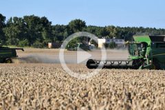 John Deere T670 W650 WTS zniwa 2023 film 240x160 Żniwa 2023: Claas Trion 640 pierwszy sezon w pszenicy