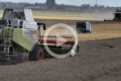 Kom Rol Claas Lexion Ursus zniwa 2023 film 240x160 Przyrządy żniwne CLAAS VARIO 1230 i 1080 z nowym wyposażeniem