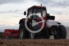 Case 1255XL siew pszenicy 2023 film 240x160 Ślicznotki z AGCO: dwie Valtry + Amazone AD P, Agrisem Cultiplow w siewie pszenicy   VIDEO