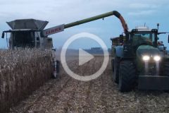 Claas Lexion 770 Fendt 939 1050 kukurydza 2023 film 240x160 Claas Lexion 770 TT, Fendt 1050 Vario + Kogel ? Kukurydza 2023
