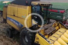 New Holland TC 5 80 kukurydza 2023 film 240x160 Jakie elementy finansowania fabrycznego wypływają na wybór oferty przedsezonowej?