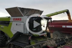 Claas Lexion 8900 kukurydza podsumowanie 2023 film 240x160 John Deere X9 i Claas Lexion 8900   największe kombajny świata w CGFP Wojnowo    VIDEO