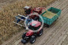 Orkan kukurydza na kiszonke 2023 film 240x160 URSUS sukcesywnie powiększa udziały w krajowym rynku