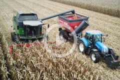 Fendt New Holland Perard kukurydza 2023 film 240x160 Claas Tucano 320 + EMMAROL   Kukurydza na ziarno 2023 w GR Górscy