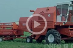 Bizon Rekord WFO film 240x160 Żniwa 2018: Błękitny BIZON Z058 Rekord w kminku   FOTO