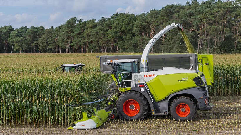 365FarmNet Crop View zmienny wysiew 1 CLAAS JAGUAR SHREDLAGE   krowa więcej pyskiem udoi