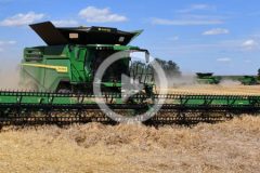 CGFP Wojnowo zniwa 2024 film 240x160 Żniwa 2021 w CGFP Wojnowo   Starcie gigantów: Claas Lexion 8900, John Deere 790i, CaseIH 9240   VIDEO