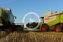 Claas Lexion 540 2x zniwa 2024 film 240x160 Claas Lexion 750 w rzepaku ? żniwa 2024 w Powiecie Tucholskim