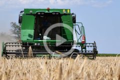 John Deere 1470 kombajn 2024 film 240x160 Podsumowanie żniw w Spichlerzu Jaskóły. W polu John Deere T670i, T550i, WTS 9560i