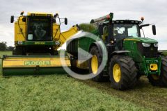 Ploeger kombajn groszek 2024 film 240x160 Groszkowe żniwa 2019 ? w polu kombajny FMC 879   VIDEO