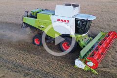 Claas Lexion 750 zniwa 2024 film 240x160 Claas Lexion 750 w rzepaku ? żniwa 2024 w Powiecie Tucholskim