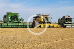 Agrade Jacewo zniwa 2024 film 240x160 Claas Lexion 750 w rzepaku ? żniwa 2024 w Powiecie Tucholskim
