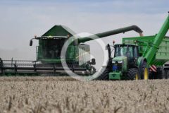 John Deere Spichlerz Jaskoly zniwa 2024 film 240x160 Podsumowanie żniw w Agrade Jacewo. W polu New Holland CR 9.90, John Deere T670i, Fendt 6335C