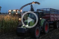 Claas Jaguar 940 ostatnia kukurydza 2024 film 240x160 Jak połączyć wydajność z ekonomicznym użytkowaniem ciągnika?
