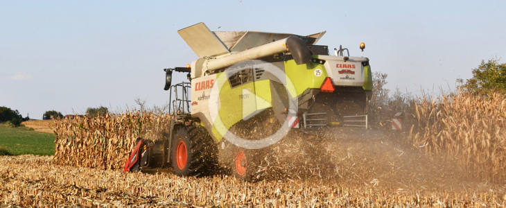 Claas_Trion_660_kukurydza_2024_film