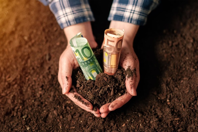 2 Rolmako Pieniadze Niezbędnik zakupowy – kluczowe maszyny rolnicze dla początkującego rolnika