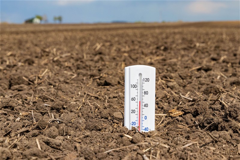 1 Rolmako Temperatura Jak zmiany klimatyczne kształtują przyszłość rolnictwa i maszyn uprawowych?