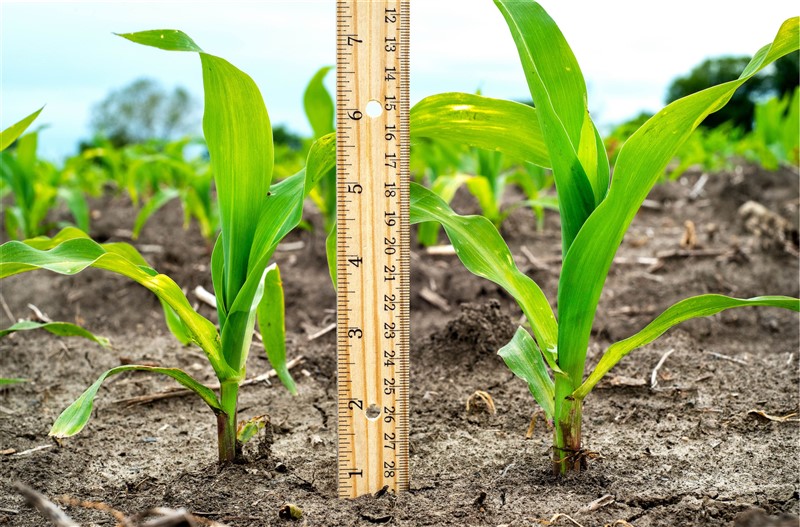 10 Rolmako Plon Jak zmiany klimatyczne kształtują przyszłość rolnictwa i maszyn uprawowych?