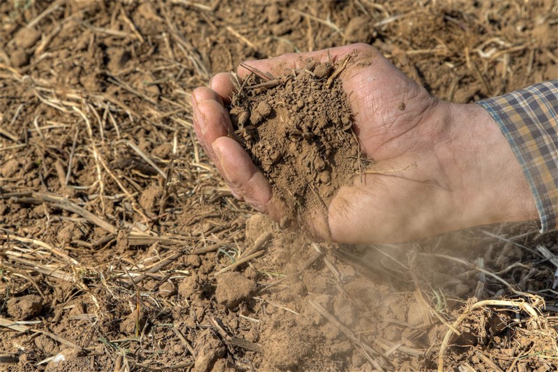 3 Rolmako Susza Jak zmiany klimatyczne kształtują przyszłość rolnictwa i maszyn uprawowych?