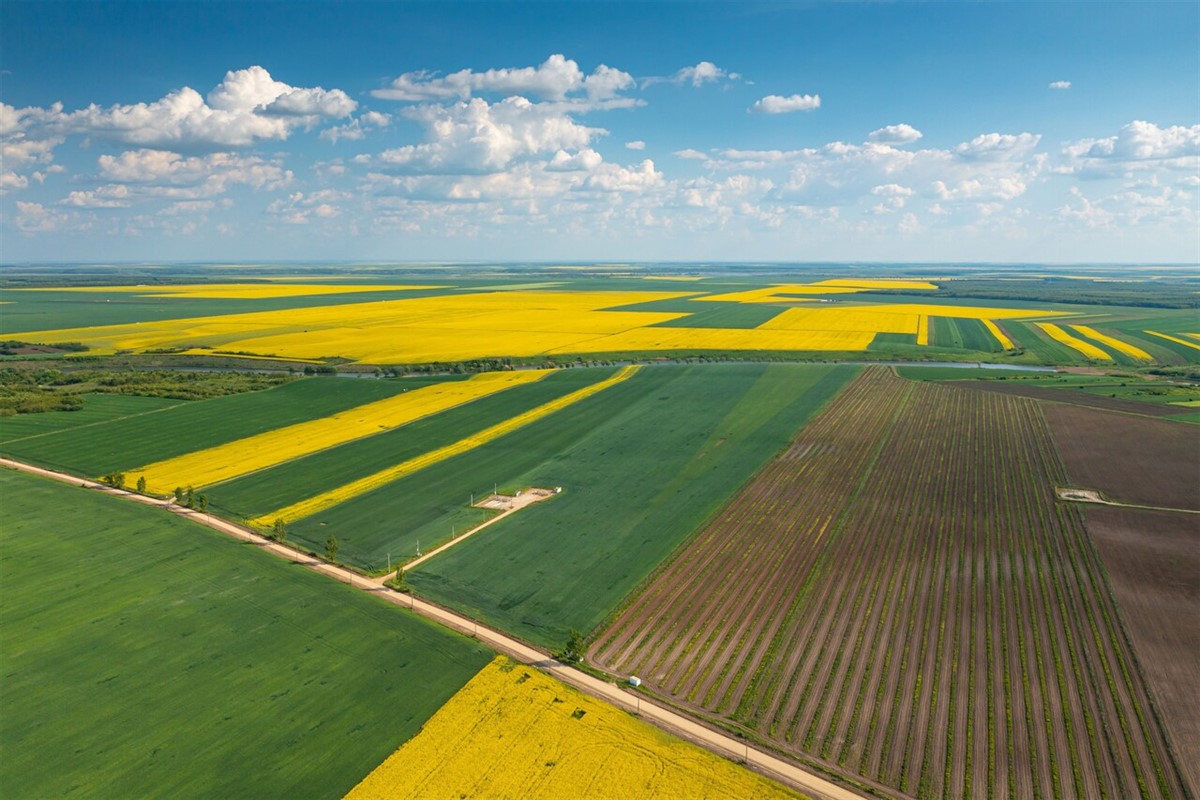 6 rolmako uprawa Integrowana uprawa – w jaki sposób agrotechnika wspiera redukcję stosowania nawozów, pestycydów i herbicydów
