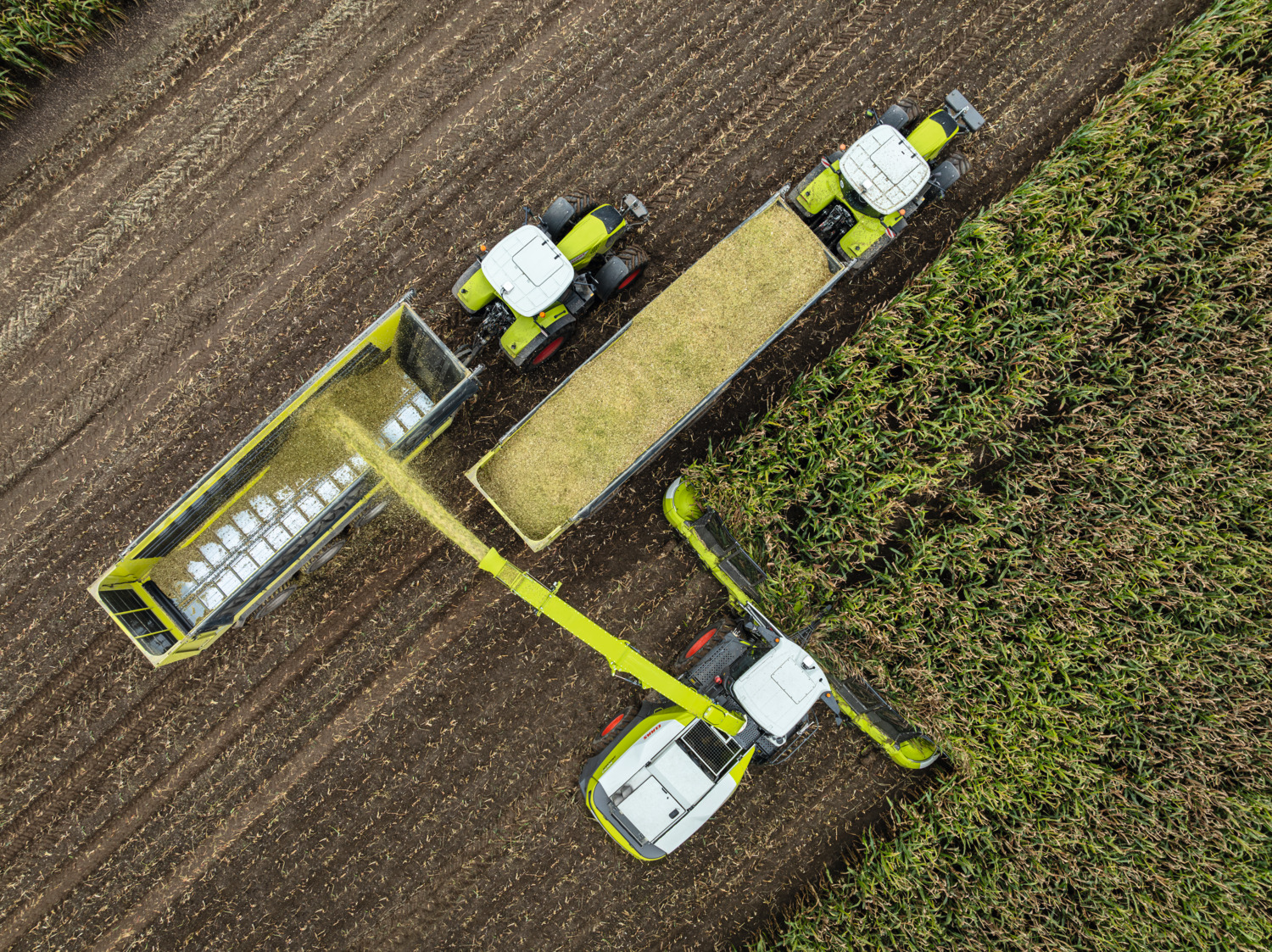 813005 27 CLAAS JAGUAR 1000 – cztery nowe sieczkarnie o mocy od 850 do 1110 KM