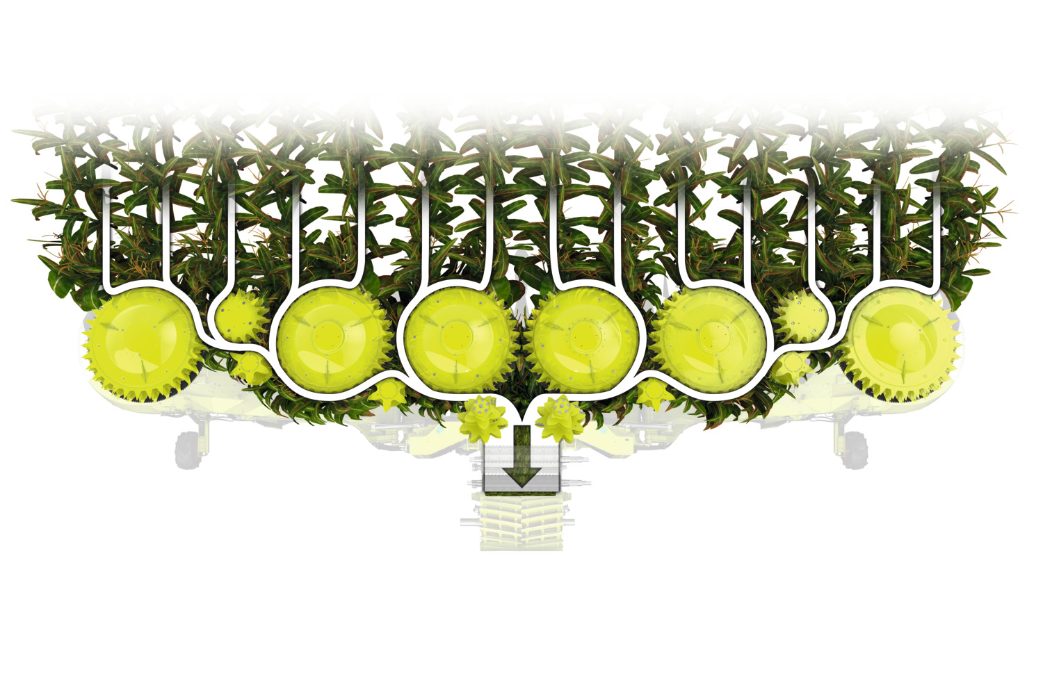 987681 27 CLAAS JAGUAR 1000 – cztery nowe sieczkarnie o mocy od 850 do 1110 KM