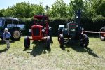 IS DSC 6230 150x100 Zlot Klubu Miłośników Starych Ciągników i Maszyn Rolniczych Retro Traktor, Golub Dobrzyń