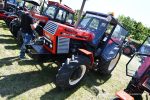 IS DSC 6245 150x100 Zlot Klubu Miłośników Starych Ciągników i Maszyn Rolniczych Retro Traktor, Golub Dobrzyń