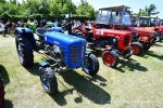 IS DSC 6290 150x100 Zlot Klubu Miłośników Starych Ciągników i Maszyn Rolniczych Retro Traktor, Golub Dobrzyń