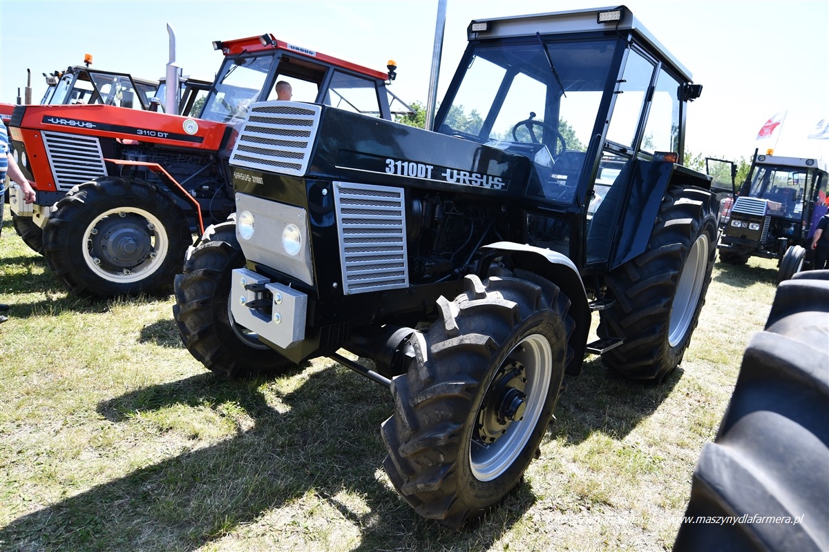 IS_DSC_6296