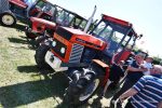 IS DSC 6298 150x100 Zlot Klubu Miłośników Starych Ciągników i Maszyn Rolniczych Retro Traktor, Golub Dobrzyń