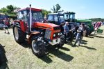 IS DSC 6300 150x100 Zlot Klubu Miłośników Starych Ciągników i Maszyn Rolniczych Retro Traktor, Golub Dobrzyń
