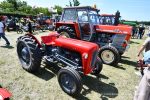 IS DSC 6307 150x100 Zlot Klubu Miłośników Starych Ciągników i Maszyn Rolniczych Retro Traktor, Golub Dobrzyń