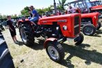 IS DSC 6309 150x100 Zlot Klubu Miłośników Starych Ciągników i Maszyn Rolniczych Retro Traktor, Golub Dobrzyń