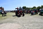 IS DSC 6318 150x100 Zlot Klubu Miłośników Starych Ciągników i Maszyn Rolniczych Retro Traktor, Golub Dobrzyń