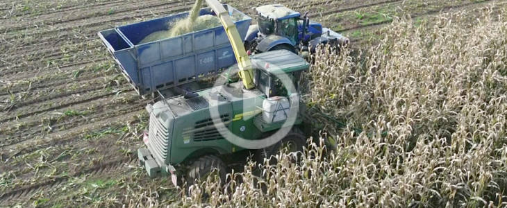 John_Deere_7350i_kukurydza_na_kiszonke_film_2025