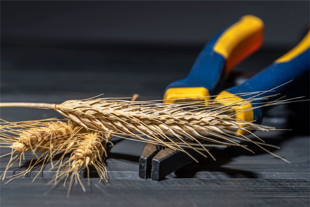 1 Rolmako Narzedzia Jak właściwie przygotować maszyny uprawowe do zimy?