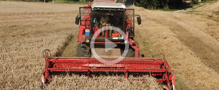 Wielkopolskie żniwa 2025 na trzy Giganty! (“z lotu ptaka”) 3x_Bizon_Gigant_zniwa_film_2025 dron 2