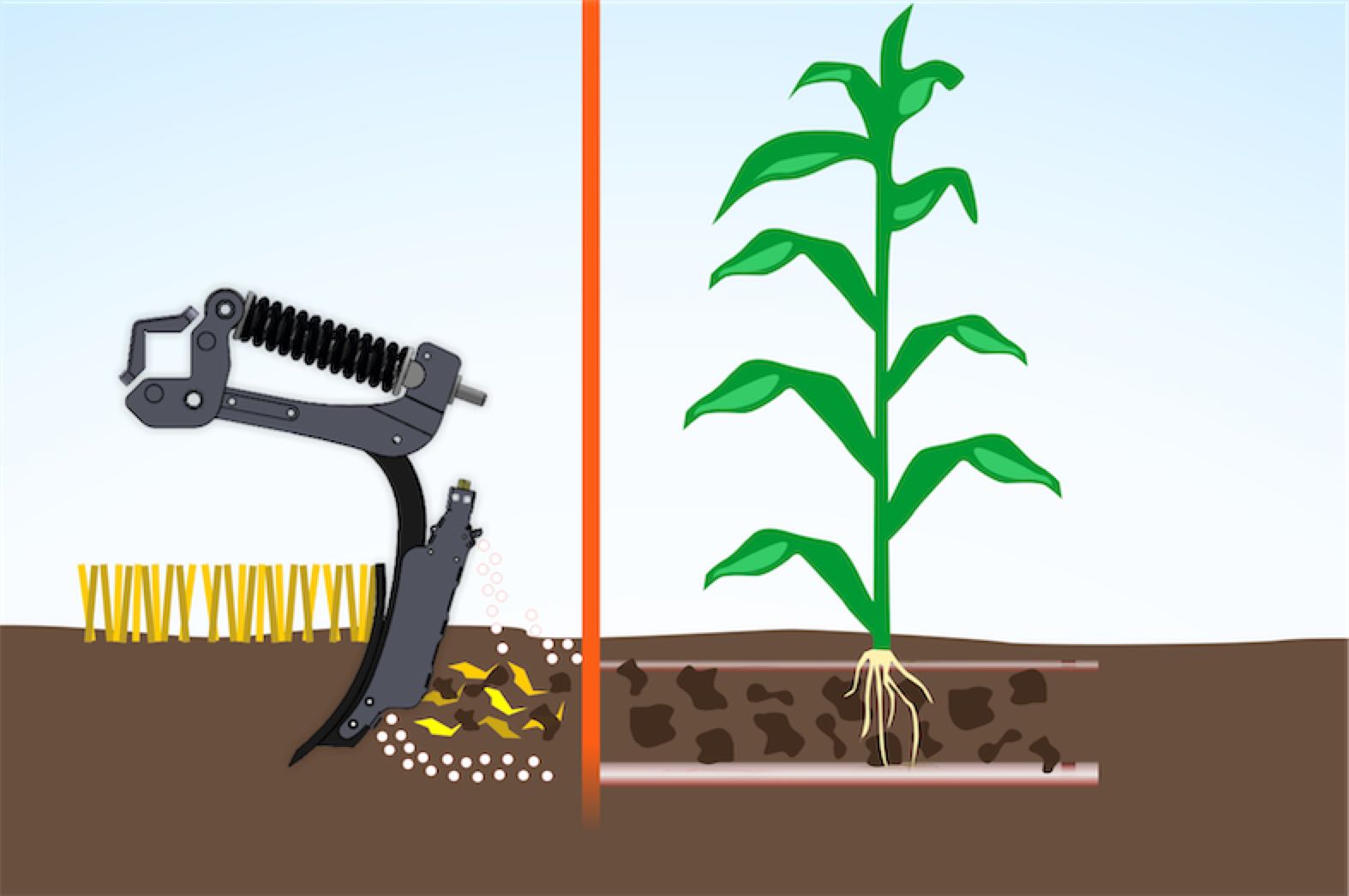 9 rolmako nawoz doglebowo Jak poradzić sobie z trudnościami, które sprawiają, że uprawa bezorkowa nie przynosi oczekiwanych rezultatów?
