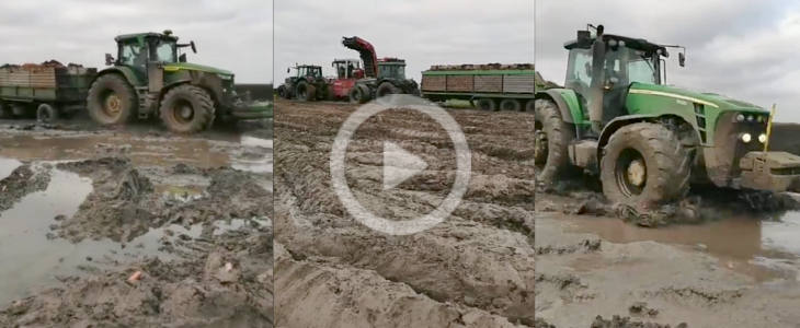 Ciężkie zbiory marchewki w GR Lipie. W polu Dewulf ZK II oraz John Deere 6195M, 7820, 8430 - oryginalny dźwięk! Dewulf_John_Deere_marchewka_GR_Lipie_LIVE_film_2025
