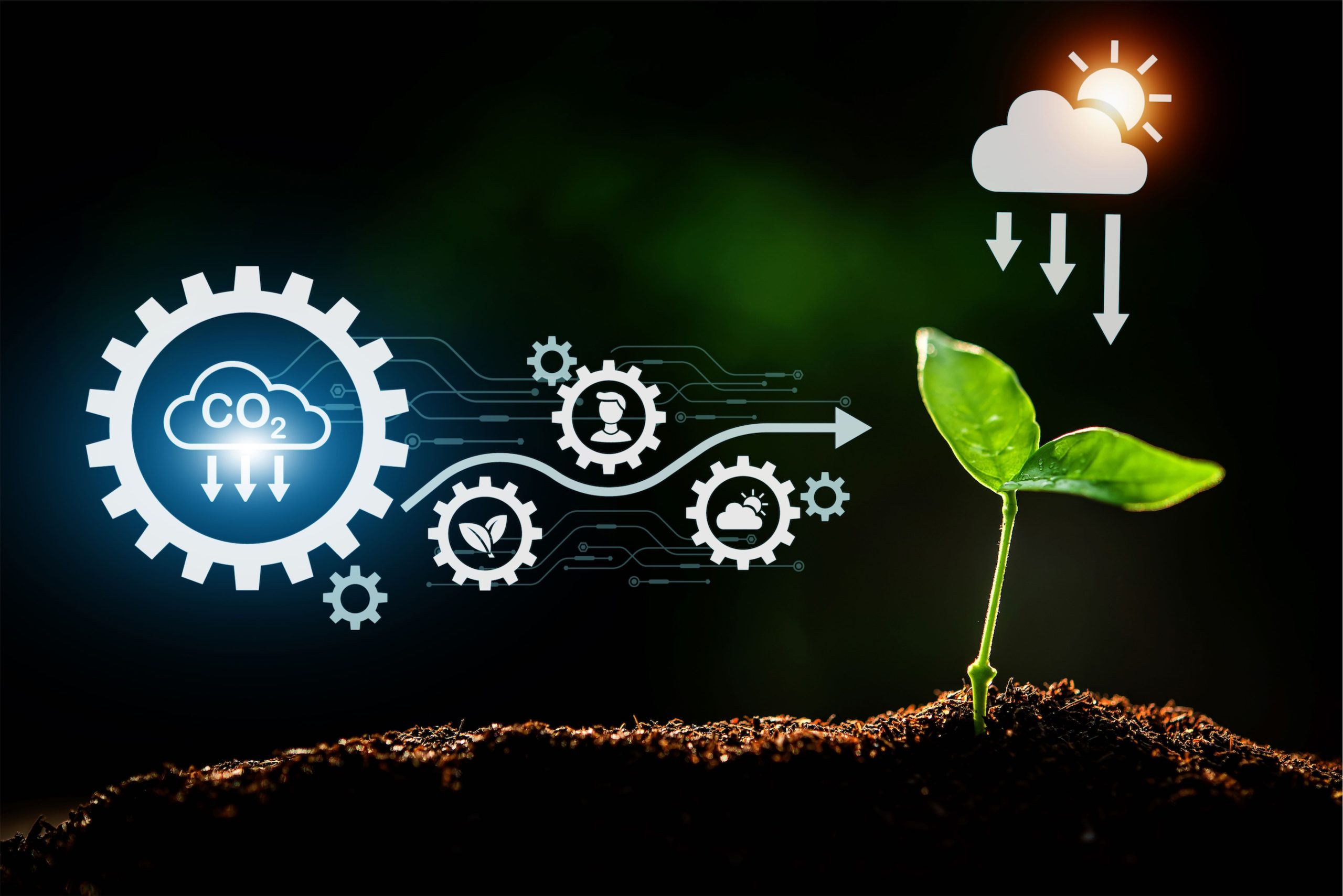 12 rolmako zielony lad scaled Jakie wyzwania stawia Europejski Zielony Ład przed rolnikami?