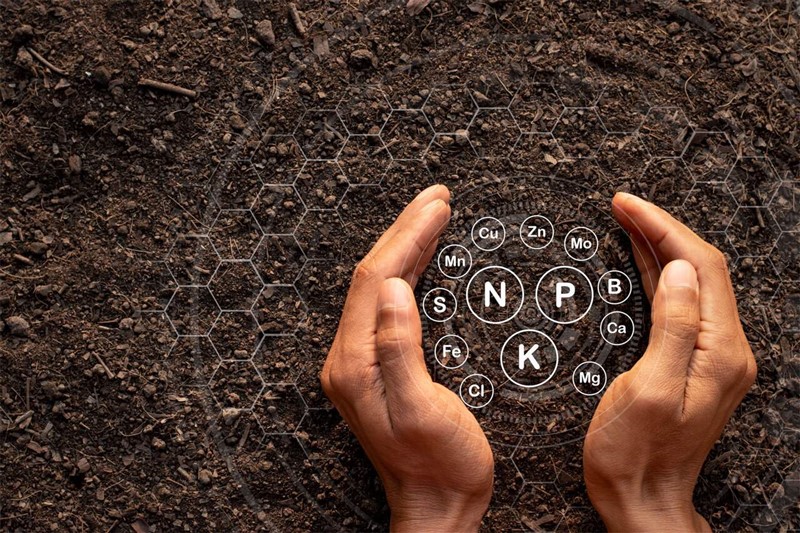 1 Rolmako Sklad gleby Dlaczego warto badać pH i zasobność gleby w składniki odżywcze?