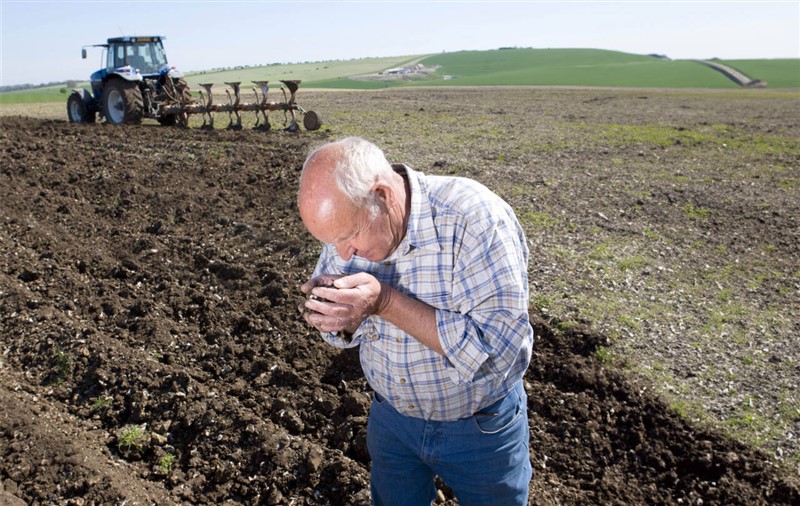 3 Rolmako Test Gleba Dlaczego warto badać pH i zasobność gleby w składniki odżywcze?