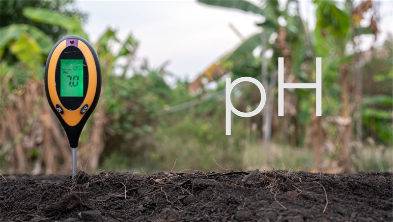 5 Rolmako Gleba Dlaczego warto badać pH i zasobność gleby w składniki odżywcze?