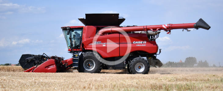 CASE IH 7250 Axial-Flow, żniwa 2026 w gospodarstwie Pana Arka Case_IH_7250_zniwa_film_2026
