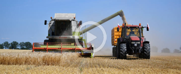 Claas Mega 360 – 17. żniwa w GR Lewandowscy na Kujawach Claas_Mega_aniwa_film_2026