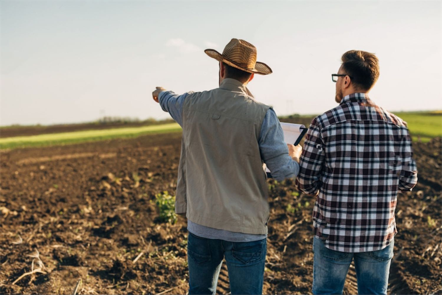 Uprawa Bezorkowa, Siew w Mulcz czy Strip Till – Jak Wybrać Najlepszą Metodę Uprawy? 3 Rolmako Uprawa Uprawa Bezorkowa, Siew w Mulcz czy Strip Till – Jak Wybrać Najlepszą Metodę Uprawy?